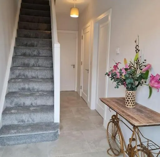 Abbeyfort * キンセール